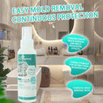 Bathroom Mold Removal