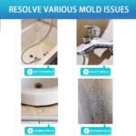 Bathroom Mold Removal
