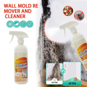 Wall mildew removal